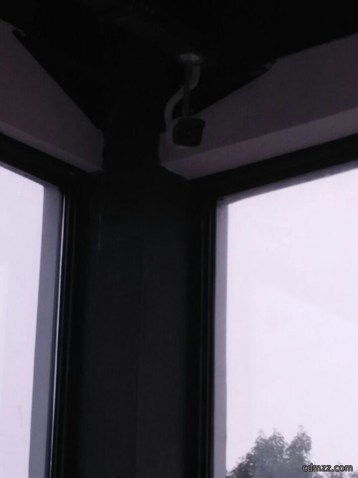 1635386688444356.jpg
