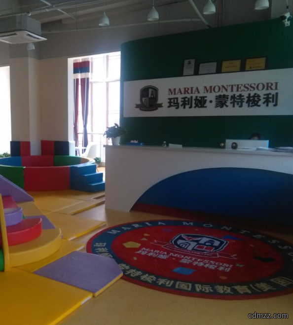 玛利亚·蒙特梭利幼儿教育视频监控及门禁系统